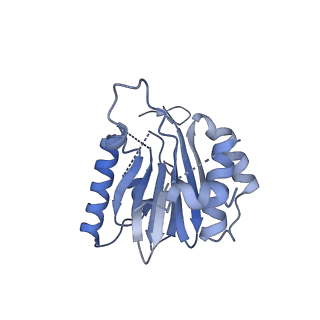 25847_7tej_S_v1-3
Cryo-EM structure of the 20S Alpha 3 Deletion proteasome core particle