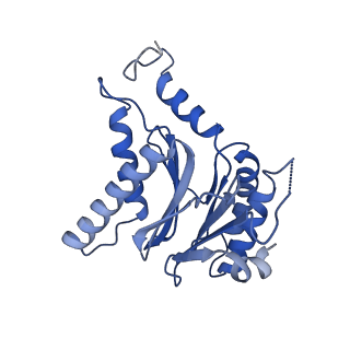 25847_7tej_T_v1-2
Cryo-EM structure of the 20S Alpha 3 Deletion proteasome core particle