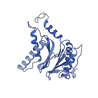 25847_7tej_T_v1-3
Cryo-EM structure of the 20S Alpha 3 Deletion proteasome core particle