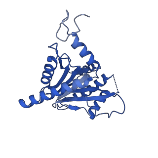 25847_7tej_U_v1-2
Cryo-EM structure of the 20S Alpha 3 Deletion proteasome core particle