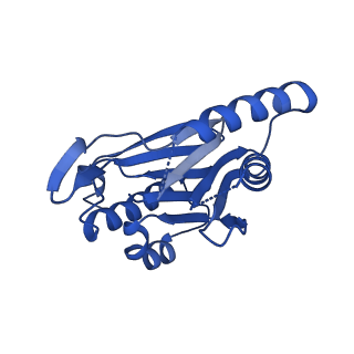 25847_7tej_V_v1-2
Cryo-EM structure of the 20S Alpha 3 Deletion proteasome core particle