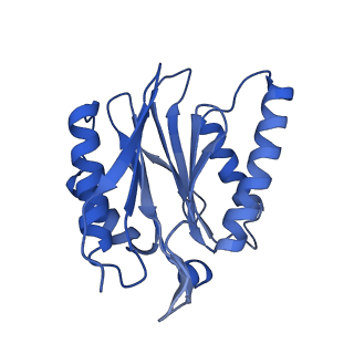 25847_7tej_X_v1-3
Cryo-EM structure of the 20S Alpha 3 Deletion proteasome core particle