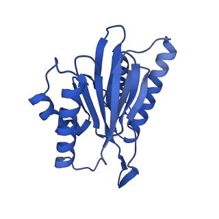 25847_7tej_Y_v1-3
Cryo-EM structure of the 20S Alpha 3 Deletion proteasome core particle