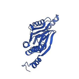 25847_7tej_Z_v1-2
Cryo-EM structure of the 20S Alpha 3 Deletion proteasome core particle