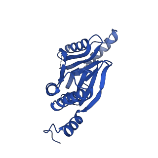 25847_7tej_Z_v1-3
Cryo-EM structure of the 20S Alpha 3 Deletion proteasome core particle