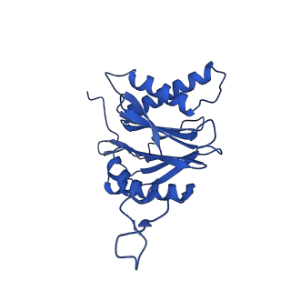 25848_7teo_1_v1-2
Cryo-EM structure of the 20S Alpha 3 Deletion proteasome core particle in complex with FUB1