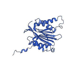 25848_7teo_2_v1-2
Cryo-EM structure of the 20S Alpha 3 Deletion proteasome core particle in complex with FUB1
