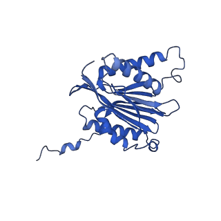 25848_7teo_2_v1-3
Cryo-EM structure of the 20S Alpha 3 Deletion proteasome core particle in complex with FUB1