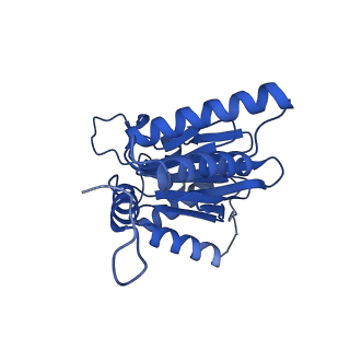 25848_7teo_A_v1-2
Cryo-EM structure of the 20S Alpha 3 Deletion proteasome core particle in complex with FUB1