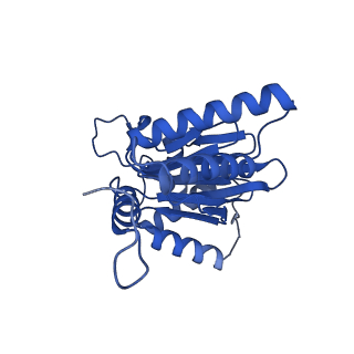 25848_7teo_A_v1-3
Cryo-EM structure of the 20S Alpha 3 Deletion proteasome core particle in complex with FUB1