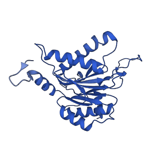 25848_7teo_B_v1-2
Cryo-EM structure of the 20S Alpha 3 Deletion proteasome core particle in complex with FUB1