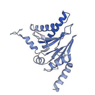 25848_7teo_C_v1-3
Cryo-EM structure of the 20S Alpha 3 Deletion proteasome core particle in complex with FUB1