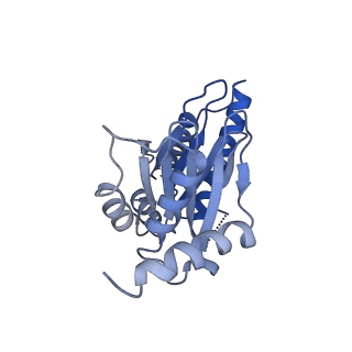 25848_7teo_D_v1-2
Cryo-EM structure of the 20S Alpha 3 Deletion proteasome core particle in complex with FUB1