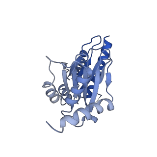 25848_7teo_D_v1-3
Cryo-EM structure of the 20S Alpha 3 Deletion proteasome core particle in complex with FUB1