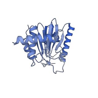 25848_7teo_E_v1-2
Cryo-EM structure of the 20S Alpha 3 Deletion proteasome core particle in complex with FUB1
