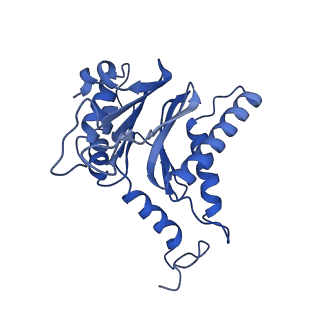 25848_7teo_F_v1-3
Cryo-EM structure of the 20S Alpha 3 Deletion proteasome core particle in complex with FUB1