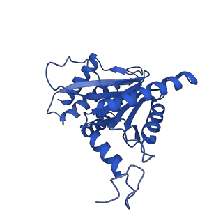25848_7teo_G_v1-2
Cryo-EM structure of the 20S Alpha 3 Deletion proteasome core particle in complex with FUB1