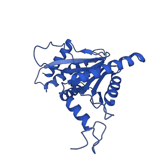 25848_7teo_G_v1-3
Cryo-EM structure of the 20S Alpha 3 Deletion proteasome core particle in complex with FUB1