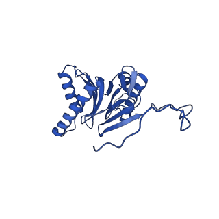 25848_7teo_I_v1-2
Cryo-EM structure of the 20S Alpha 3 Deletion proteasome core particle in complex with FUB1