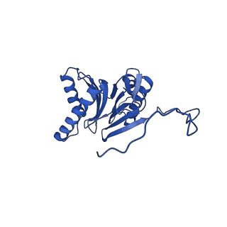 25848_7teo_I_v1-3
Cryo-EM structure of the 20S Alpha 3 Deletion proteasome core particle in complex with FUB1