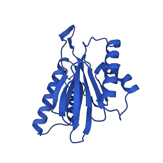 25848_7teo_K_v1-3
Cryo-EM structure of the 20S Alpha 3 Deletion proteasome core particle in complex with FUB1