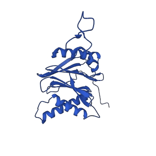 25848_7teo_M_v1-2
Cryo-EM structure of the 20S Alpha 3 Deletion proteasome core particle in complex with FUB1