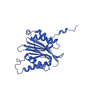 25848_7teo_N_v1-2
Cryo-EM structure of the 20S Alpha 3 Deletion proteasome core particle in complex with FUB1