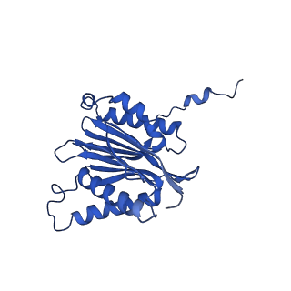 25848_7teo_N_v1-3
Cryo-EM structure of the 20S Alpha 3 Deletion proteasome core particle in complex with FUB1