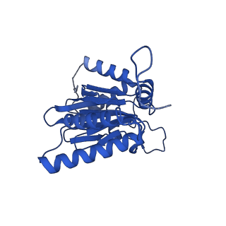 25848_7teo_O_v1-2
Cryo-EM structure of the 20S Alpha 3 Deletion proteasome core particle in complex with FUB1