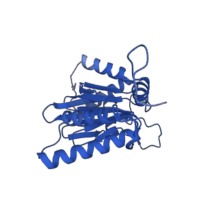 25848_7teo_O_v1-3
Cryo-EM structure of the 20S Alpha 3 Deletion proteasome core particle in complex with FUB1