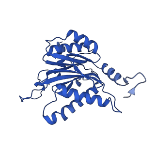 25848_7teo_P_v1-3
Cryo-EM structure of the 20S Alpha 3 Deletion proteasome core particle in complex with FUB1