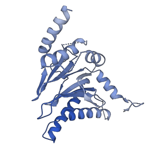 25848_7teo_Q_v1-2
Cryo-EM structure of the 20S Alpha 3 Deletion proteasome core particle in complex with FUB1