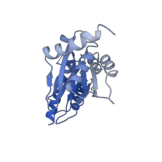 25848_7teo_R_v1-2
Cryo-EM structure of the 20S Alpha 3 Deletion proteasome core particle in complex with FUB1
