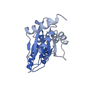 25848_7teo_R_v1-3
Cryo-EM structure of the 20S Alpha 3 Deletion proteasome core particle in complex with FUB1