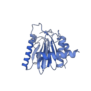 25848_7teo_S_v1-2
Cryo-EM structure of the 20S Alpha 3 Deletion proteasome core particle in complex with FUB1