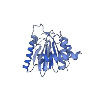 25848_7teo_S_v1-3
Cryo-EM structure of the 20S Alpha 3 Deletion proteasome core particle in complex with FUB1