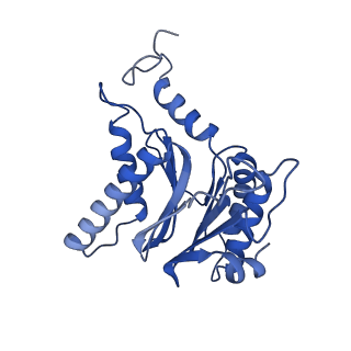 25848_7teo_T_v1-2
Cryo-EM structure of the 20S Alpha 3 Deletion proteasome core particle in complex with FUB1