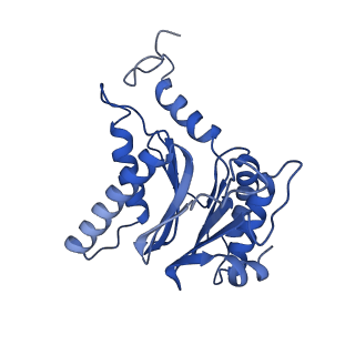 25848_7teo_T_v1-3
Cryo-EM structure of the 20S Alpha 3 Deletion proteasome core particle in complex with FUB1