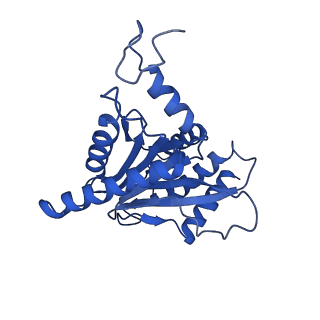 25848_7teo_U_v1-2
Cryo-EM structure of the 20S Alpha 3 Deletion proteasome core particle in complex with FUB1