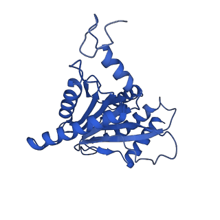 25848_7teo_U_v1-3
Cryo-EM structure of the 20S Alpha 3 Deletion proteasome core particle in complex with FUB1