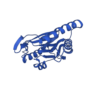 25848_7teo_V_v1-3
Cryo-EM structure of the 20S Alpha 3 Deletion proteasome core particle in complex with FUB1