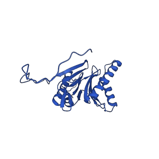 25848_7teo_W_v1-3
Cryo-EM structure of the 20S Alpha 3 Deletion proteasome core particle in complex with FUB1