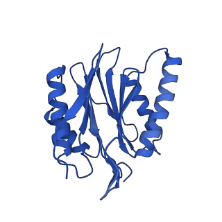 25848_7teo_X_v1-3
Cryo-EM structure of the 20S Alpha 3 Deletion proteasome core particle in complex with FUB1