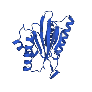 25848_7teo_Y_v1-3
Cryo-EM structure of the 20S Alpha 3 Deletion proteasome core particle in complex with FUB1