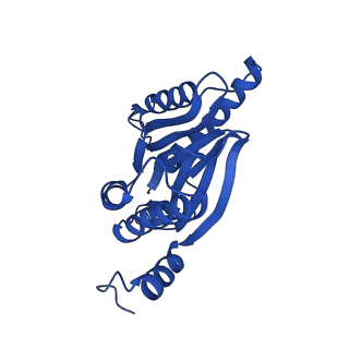 25848_7teo_Z_v1-3
Cryo-EM structure of the 20S Alpha 3 Deletion proteasome core particle in complex with FUB1