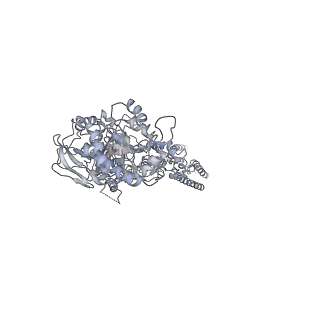 25851_7tes_A_v1-0
Cryo-EM structure of GluN1b-2B NMDAR in complex with Fab5 in Non-active1 conformation
