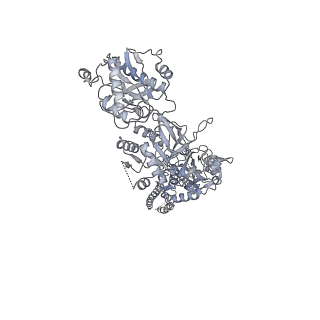 25851_7tes_B_v1-0
Cryo-EM structure of GluN1b-2B NMDAR in complex with Fab5 in Non-active1 conformation