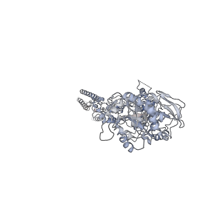 25851_7tes_C_v1-0
Cryo-EM structure of GluN1b-2B NMDAR in complex with Fab5 in Non-active1 conformation