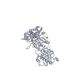 25851_7tes_D_v1-0
Cryo-EM structure of GluN1b-2B NMDAR in complex with Fab5 in Non-active1 conformation