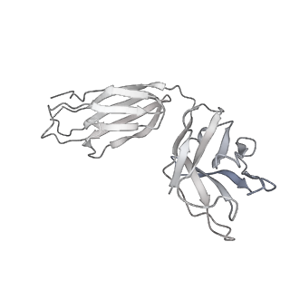 25851_7tes_H_v1-0
Cryo-EM structure of GluN1b-2B NMDAR in complex with Fab5 in Non-active1 conformation